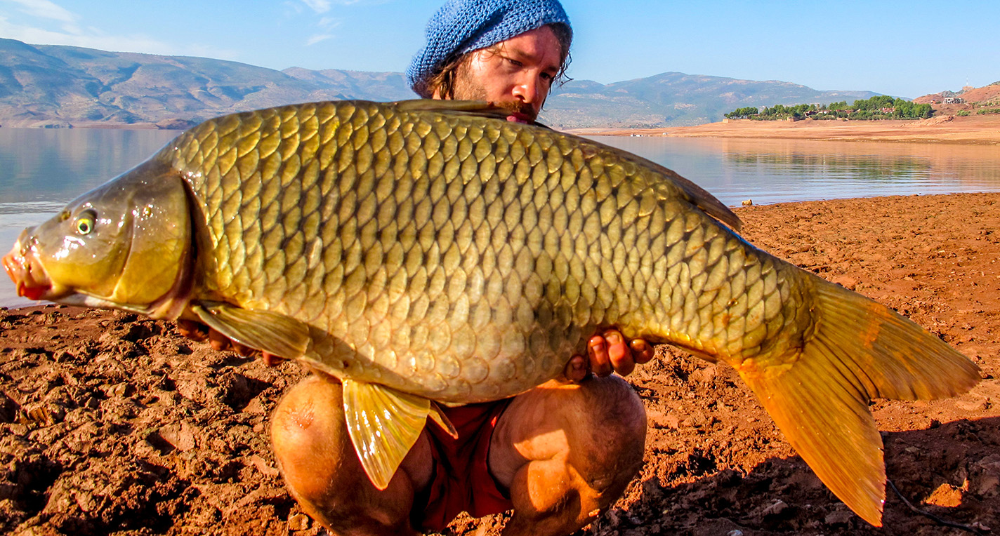 images/banners/fish/1.jpg