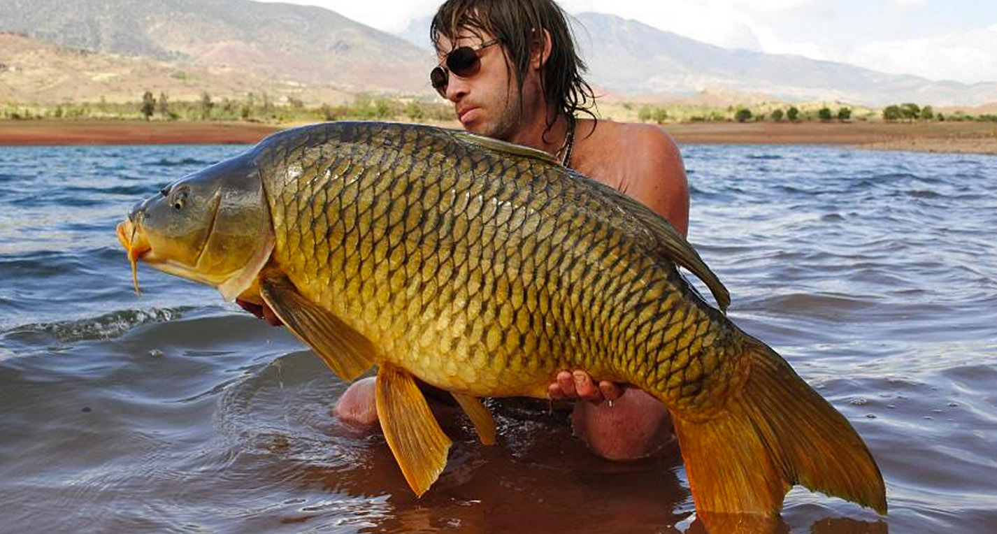 Lake Bin el Ouidane - a mecca for carp fishermen!