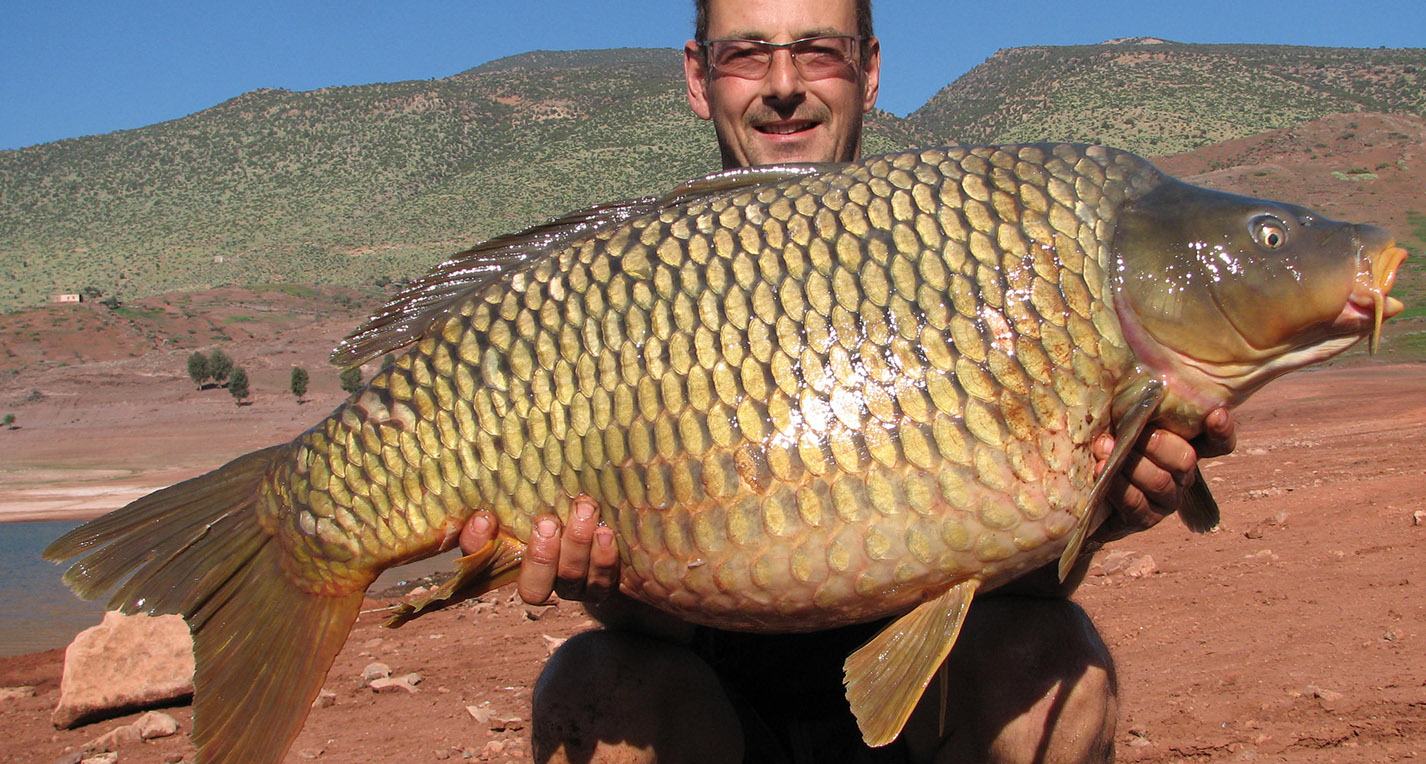 Lake Bin el Ouidane - a mecca for carp fishermen!