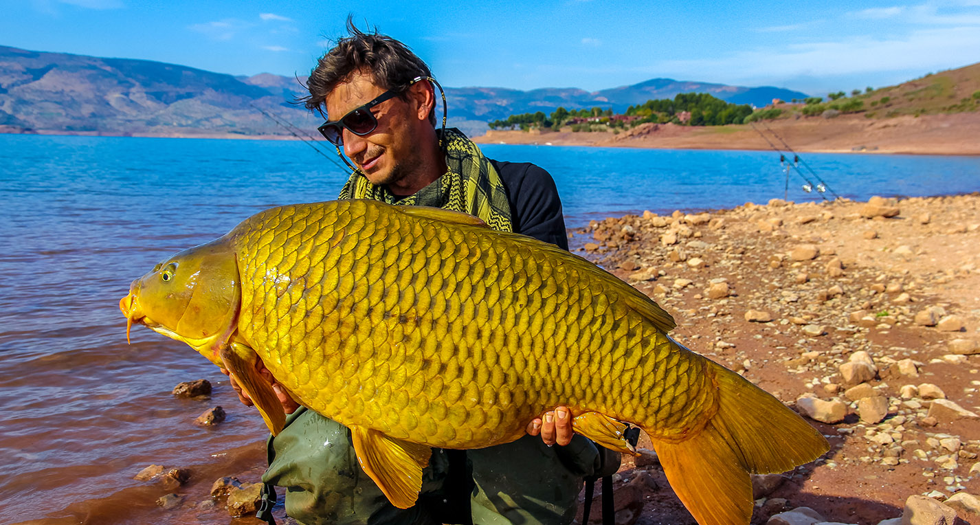 Lake Bin el Ouidane - a mecca for carp fishermen!