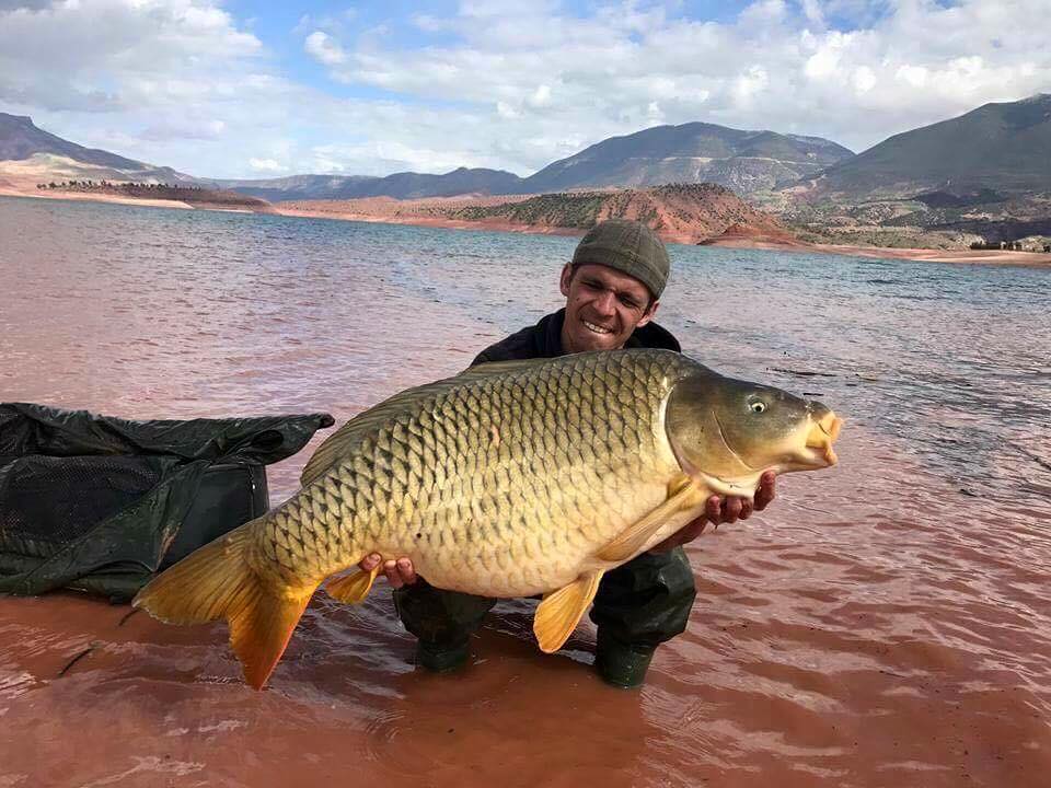 Morocco Carp - February 2017 - fishing in Bin el Ouidane, the Atlas Mountains