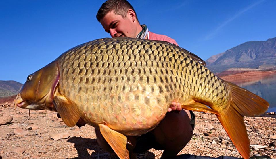 Morocco Carp - February 2017 - fishing in Bin el Ouidane, the Atlas Mountains