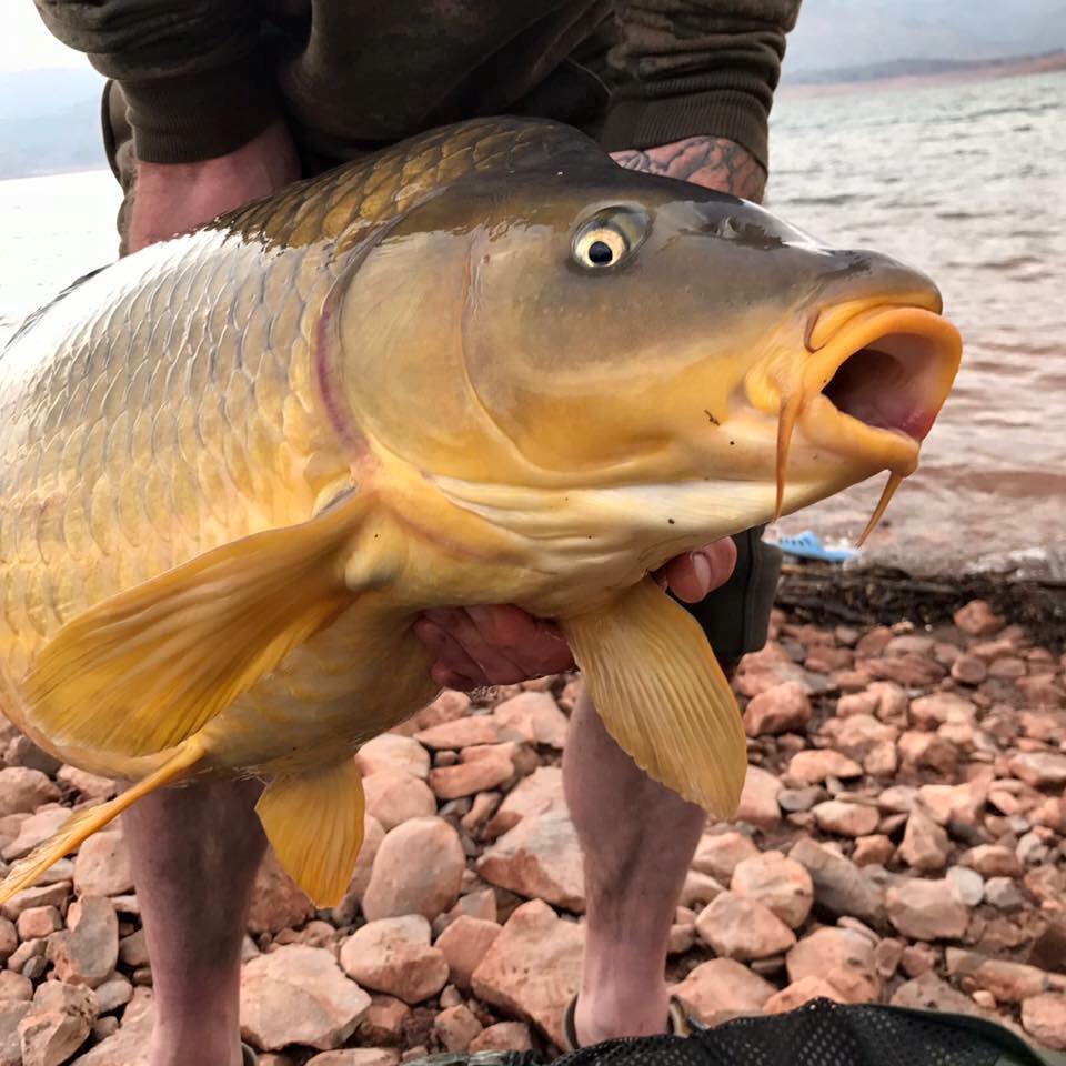 Morocco Carp - February 2017 - fishing in Bin el Ouidane, the Atlas Mountains
