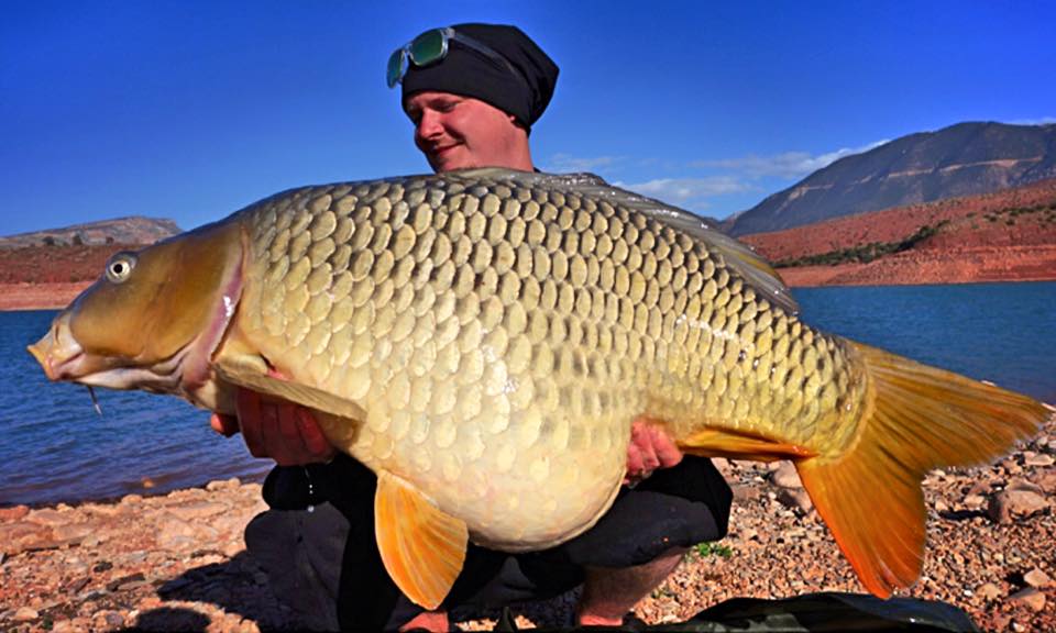 Morocco Carp - February 2017 - fishing in Bin el Ouidane, the Atlas Mountains