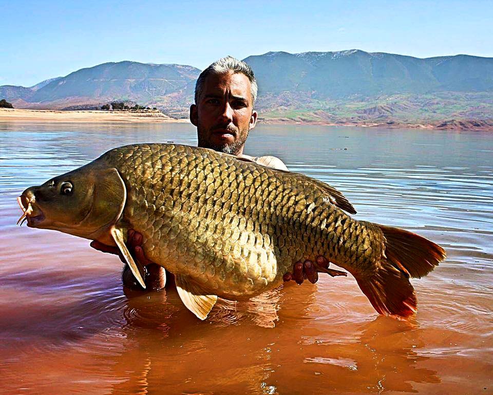 Morocco Carp - February 2017 - fishing in Bin el Ouidane, the Atlas Mountains