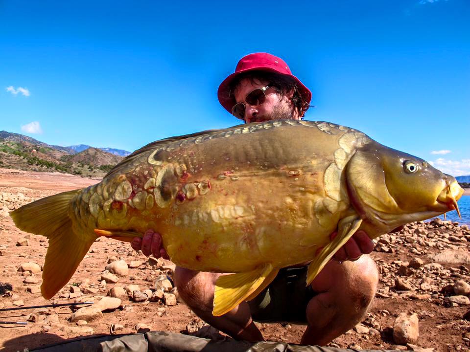 Morocco Carp - February 2017 - fishing in Bin el Ouidane, the Atlas Mountains