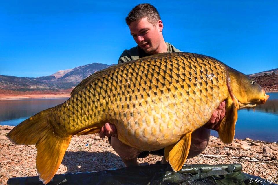 Catch report - February 2017