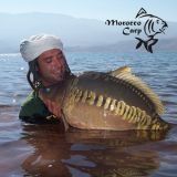 Morocco Carp