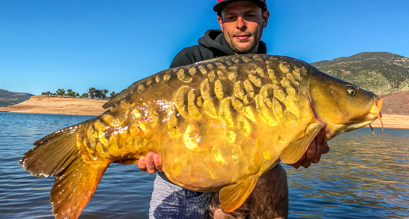 Lake Bin el Ouidane - a mecca for carp fishermen!